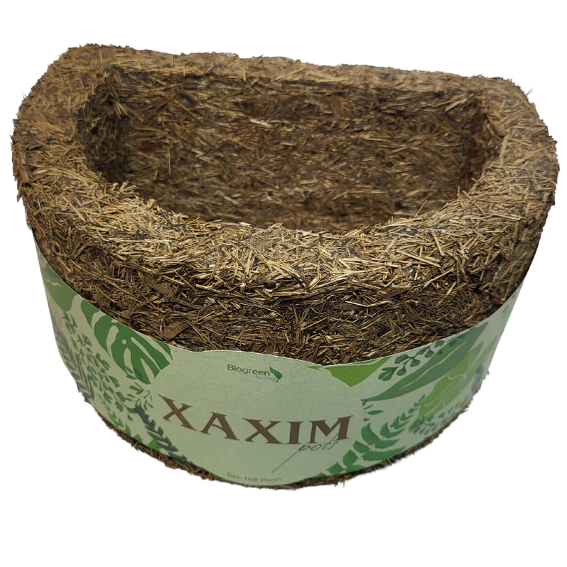 Half-Moon Xaxim Pot