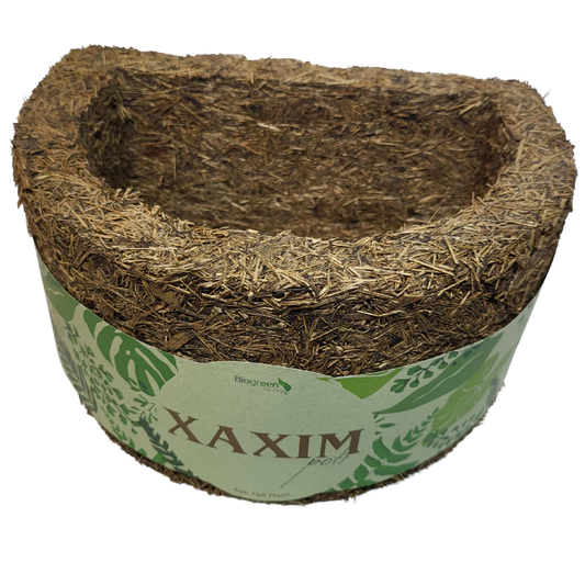 Half-Moon Xaxim Pot