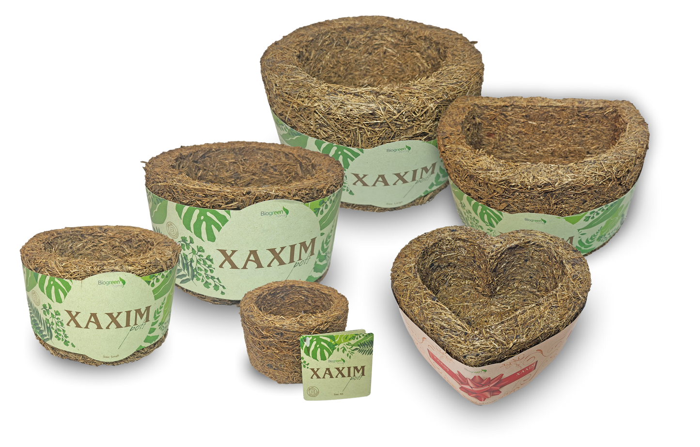 Heart Xaxim Pot