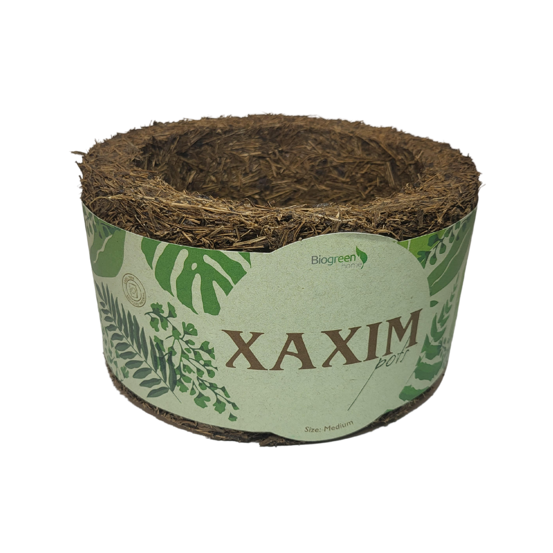 Medium Xaxim Pot