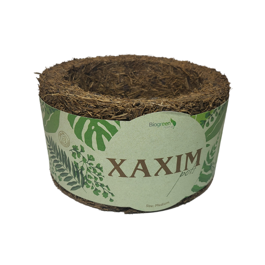 Medium Xaxim Pot