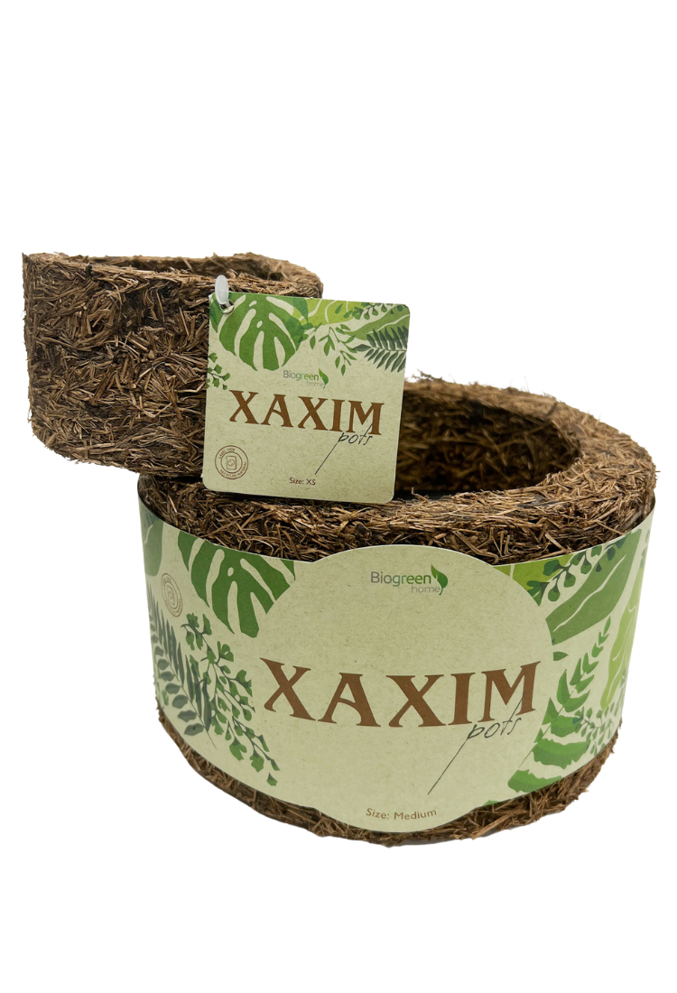 Kit - Medium