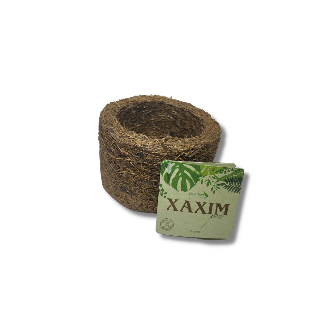 Mini Xaxim Pot