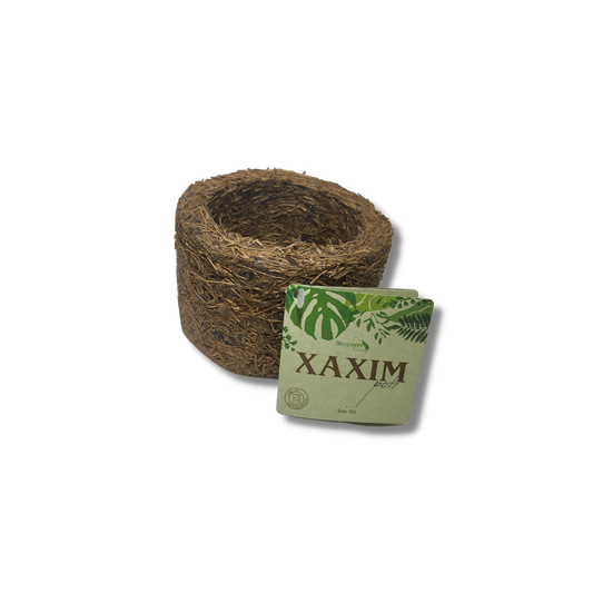 Mini Xaxim Pot