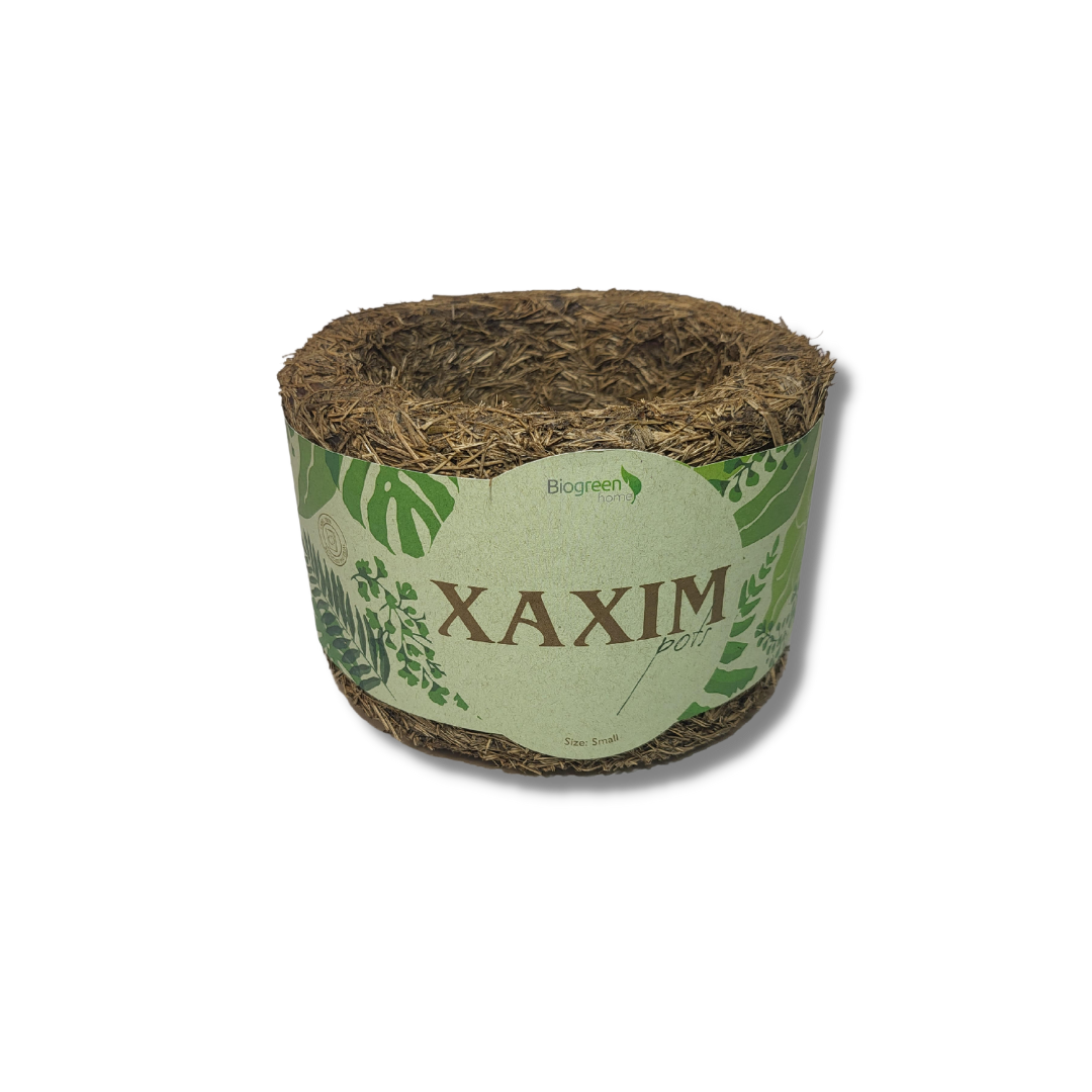 Small Xaxim Pot