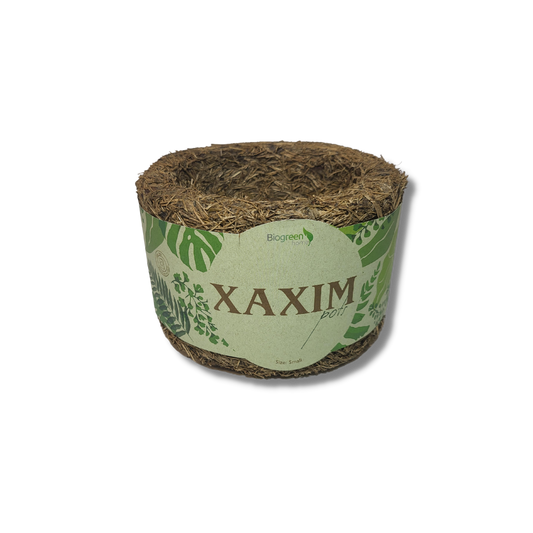 Small Xaxim Pot