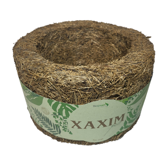 Large Xaxim Pot